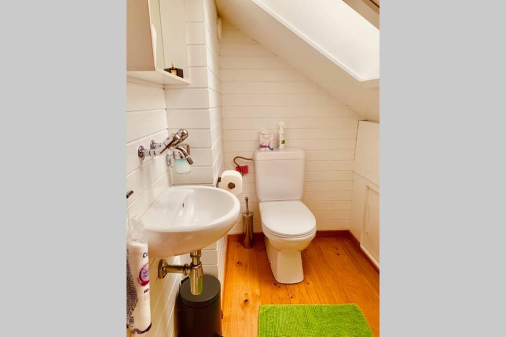 Charmant Et Lumineux Appartement Duplex A Charmey Eksteriør billede